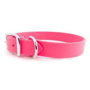 ALC Sparky's Choice Standard Buckle Collar Pink 14" x 3/4"