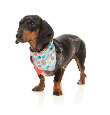 FuzzYard Bandana You Drive Me Glazy