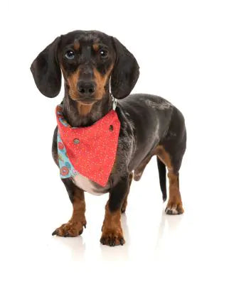 FuzzYard Bandana You Drive Me Glazy