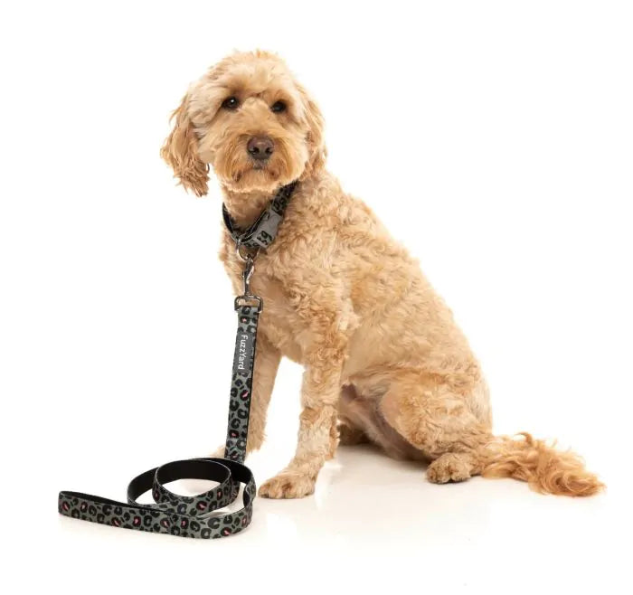 FuzzYard Savanna - Leash