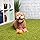 GoDog Silent Squeaker Ball 2 - Pack