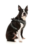 FuzzYard Step In Harness Savanna
