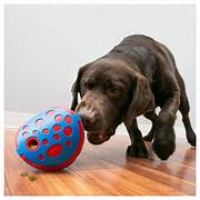 KONG REWARDS WALLY MEDIUM/LARGE