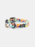 Leeds Ashbury Collar