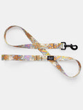 Leeds Dazey Leash - Medium 1in wide 4ft