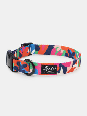 Leeds Jane Collar LG (18"-26")