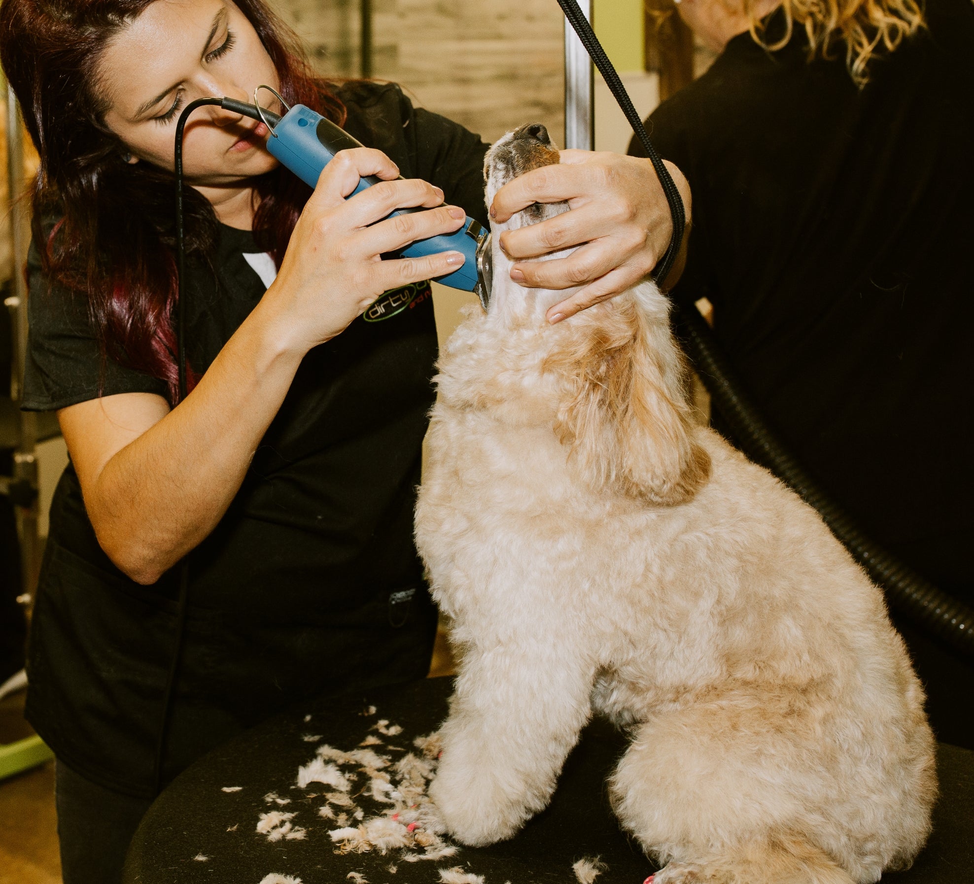 DirtyDogs