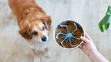 Messy Mutts Slow Feeder Bowl Insert With Suction, 7.5" X 2" Cool Grey