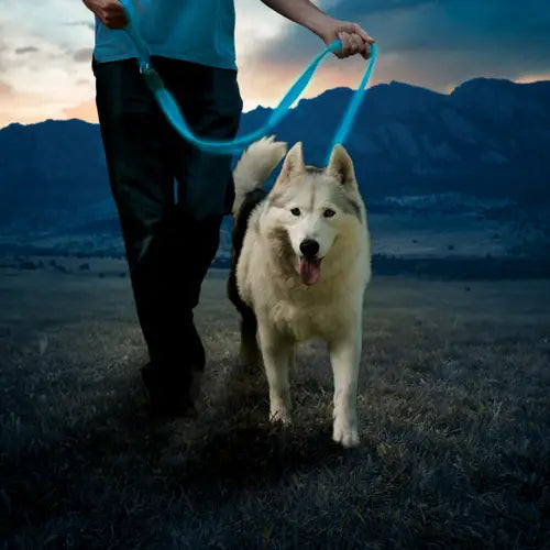 Nite Ize Rechargeable L.E.D Leash Blue LED