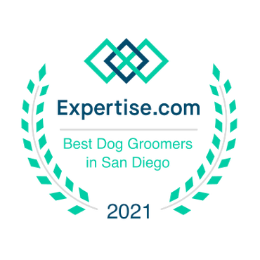 DirtyDogs