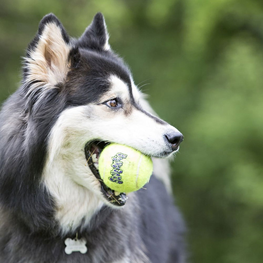 Kong Air Squeaker Ball Toy 3pk