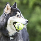 Kong Air Squeaker Ball Toy 3pk