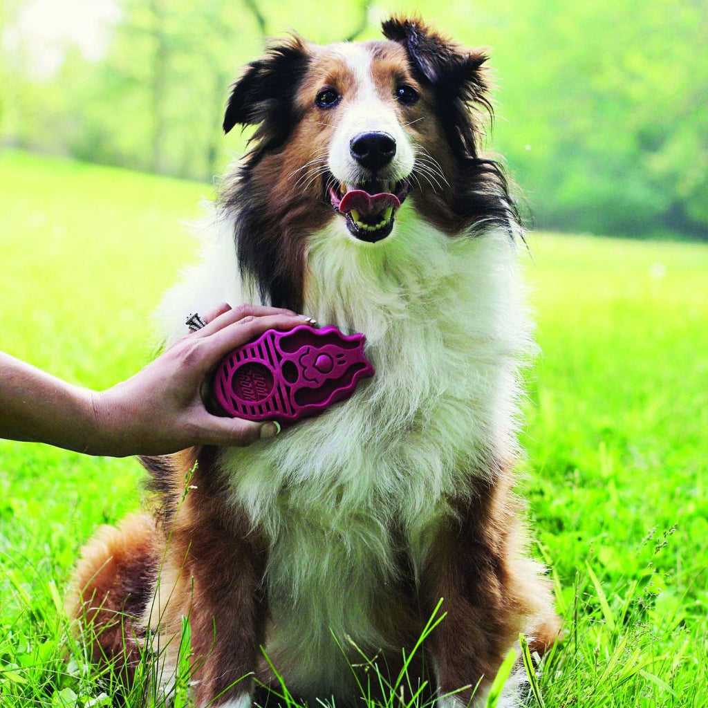 Kong Zoom Groom Raspberry