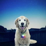 Nite Ize Spotlit L.E.D Disc-O Select