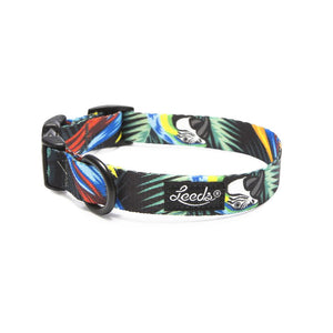 Leeds Jimmy Collar