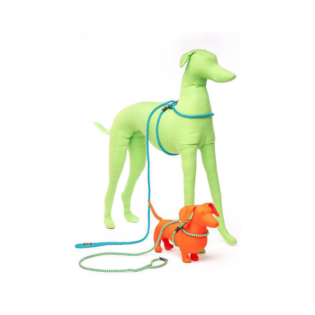 Harness & Lead Orange Reflective