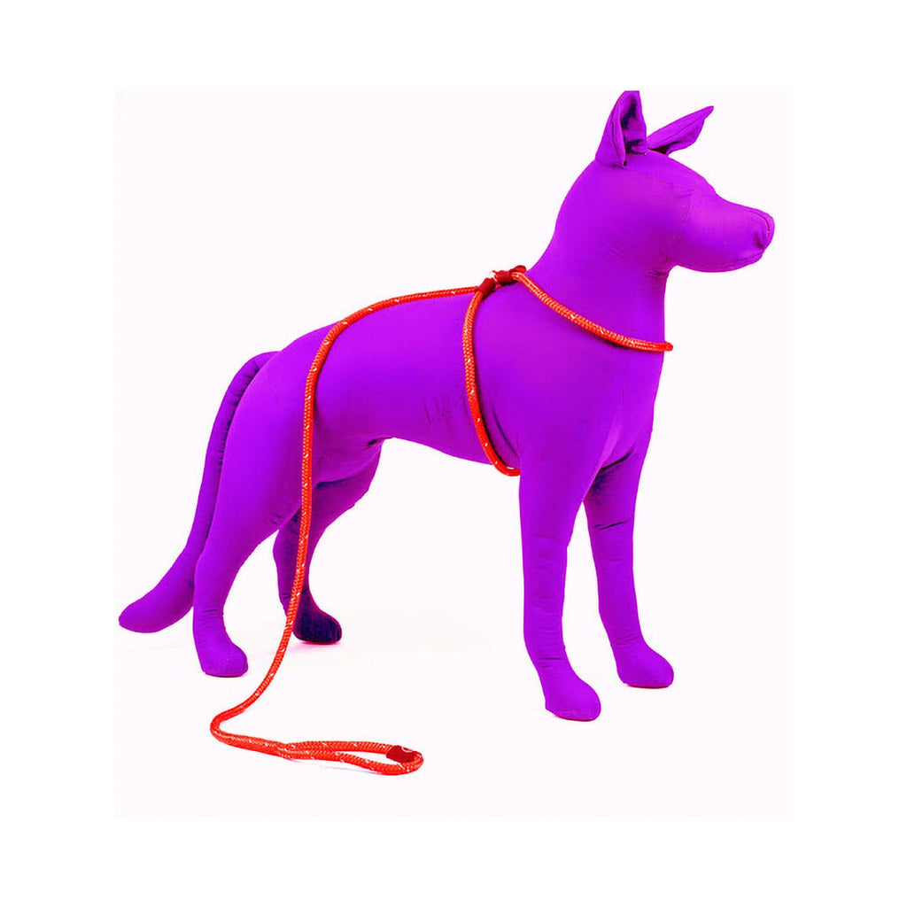 Harness & Lead Red