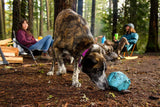 Ruffwear Gnawt A Rock Dog Toy Dandelion Yellow - DISC