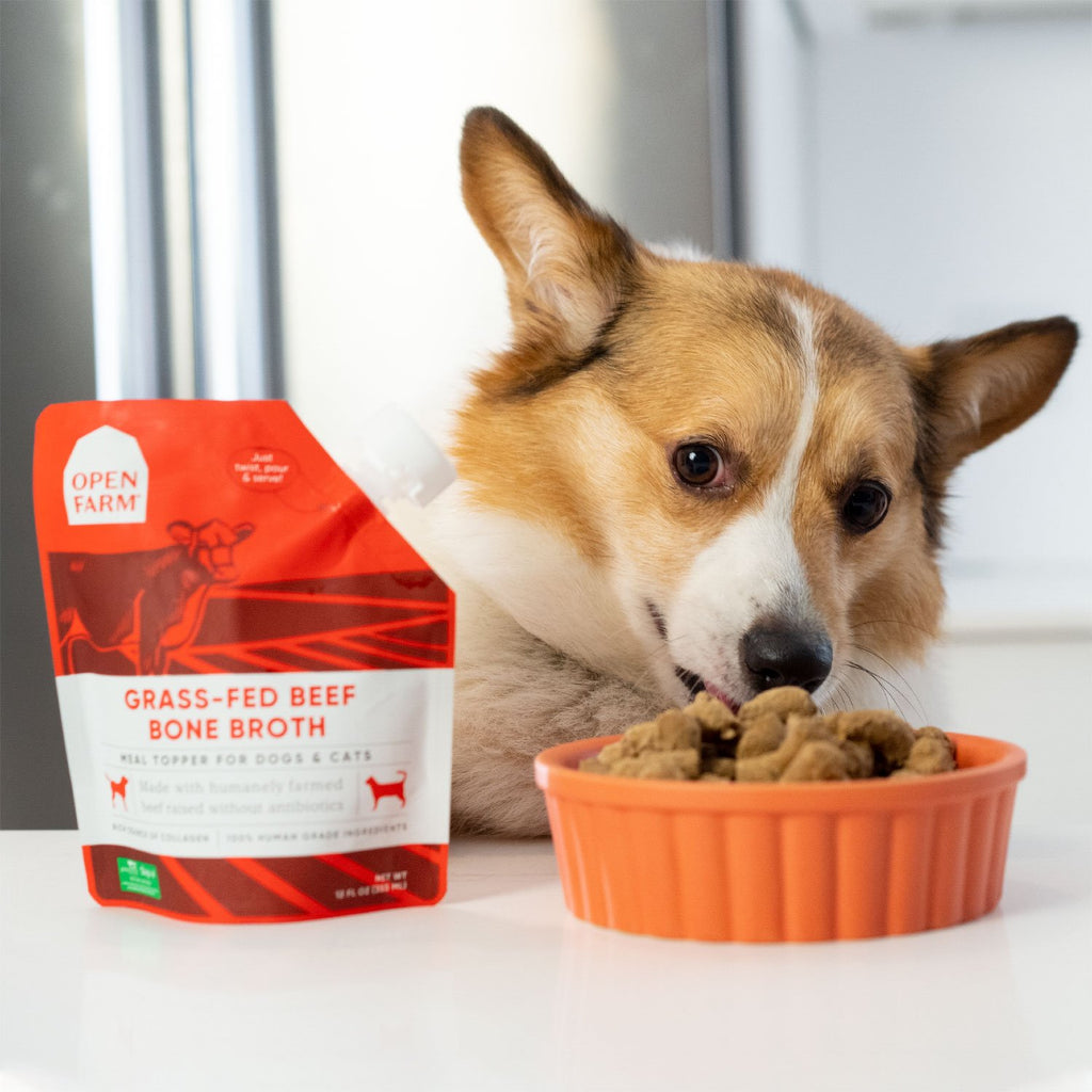 Open Farm Beef Bone Broth 12oz