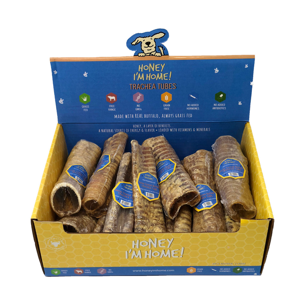 Honey Im Home Buffalo Tracea 6"