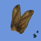 Honey Im Home Buffalo Ear