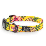 Leeds Luau Collar