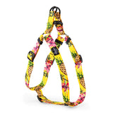 Leeds Luau Harness