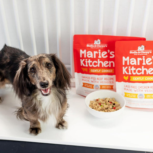 Stella & Chewy's Marie's Kitchen Beef Mixer Dog Food