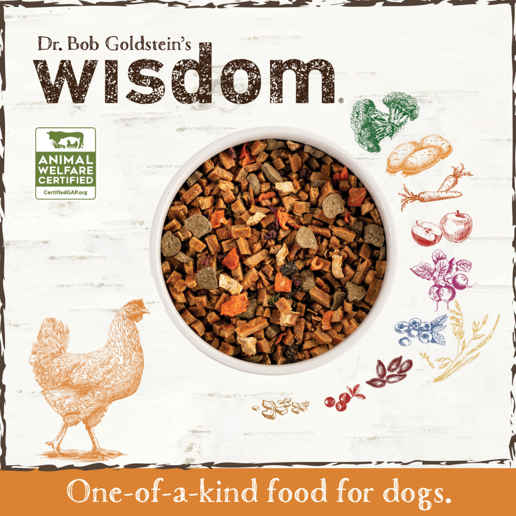 Earth Animal Wisdom Chicken