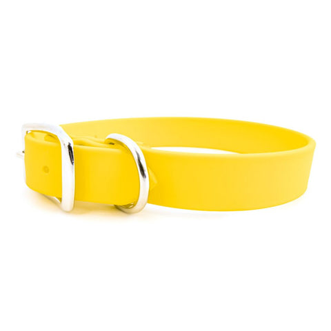 ALC Sparky's Choice Standard Buckle Collar Yellow 16" x 3/4"