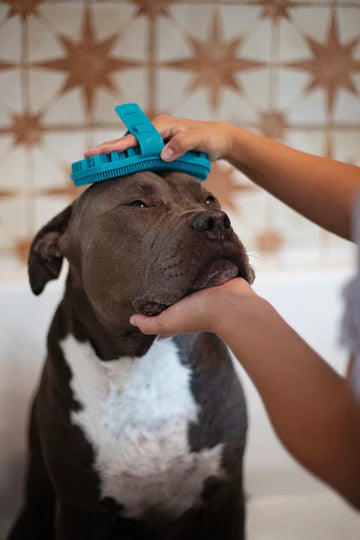 Messy Mutts Silicone Dual Sided Grooming Brush, 6.5 X 3.5" Blue