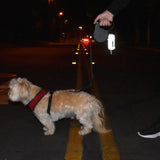 Doggie Walk Duffel Deluxe Gray Reflective