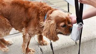 DISCONTINUED Doggie Walk Duffel Delux Silver Holographic