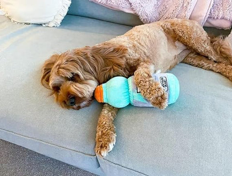 FuzzYard Dogorade - DISCONTINUED