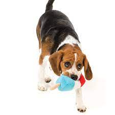 FuzzYard Popsicle - DISCONTINUED