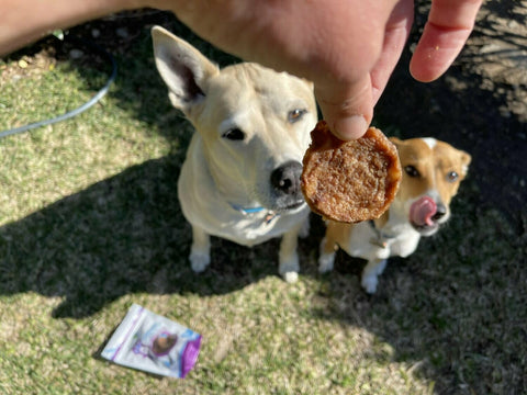 GREEN COAST CHICKEN CRISPS 4oz