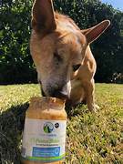 GREEN COAST PAWNUT BUTTER