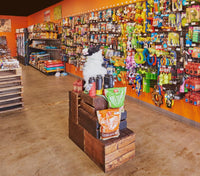 pet store display food and toys at our Carmel Mountain Ranch location