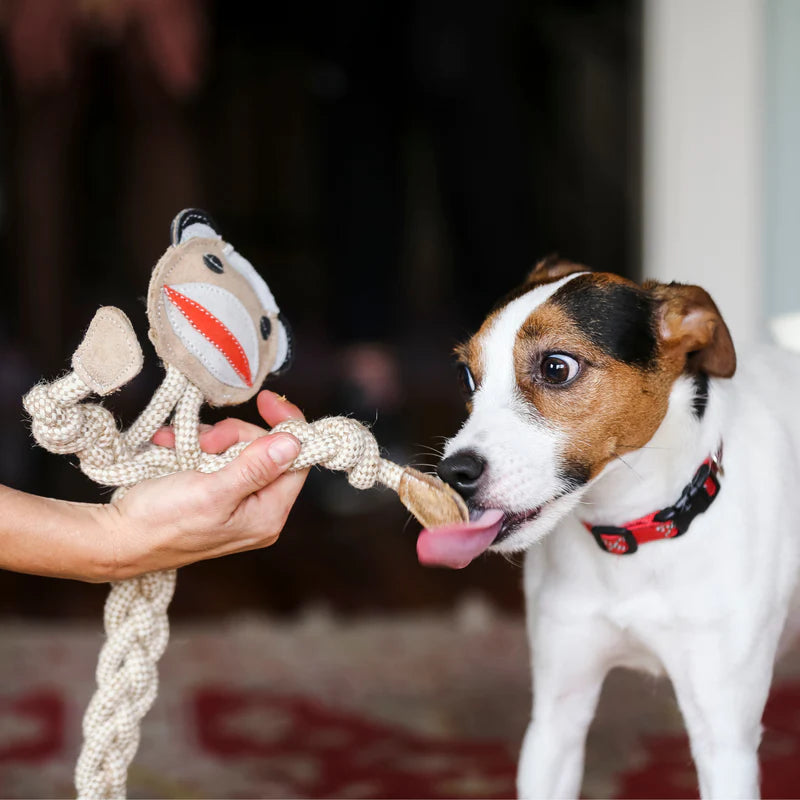 HUGGLE HOUNDS KNOT ROPE MONKEY DirtyDogs Meow
