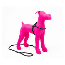 Harness & Lead Black
