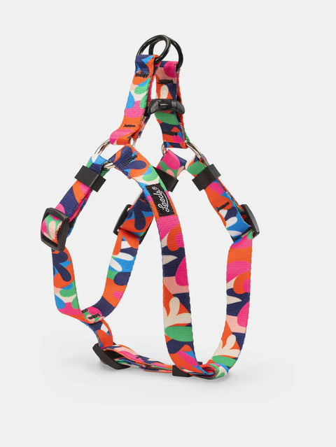 Leeds Jane Harness MD (21"- 29" Chest)