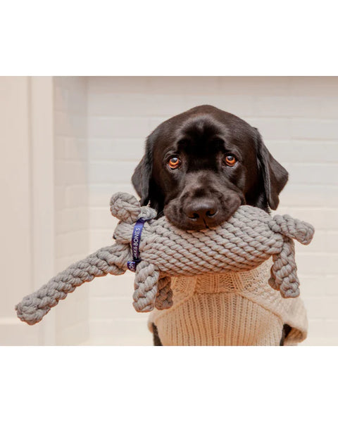 Jax & Bones Coco The Elephant 10" Large Rope Dog Toy