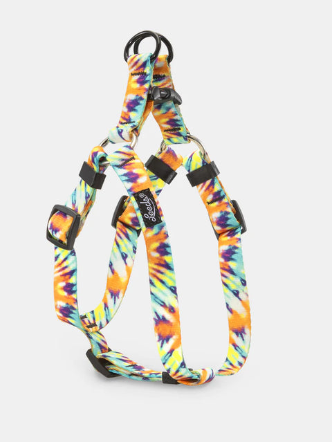 Leeds Ashbury Harness