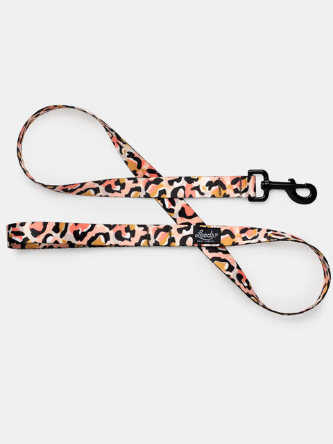 Leeds Coco Leash 6ft