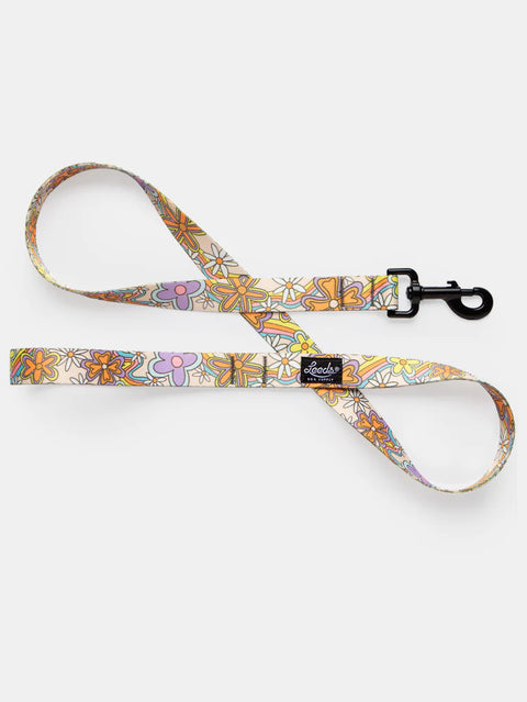 Leeds Dazey Leash - Medium 1in wide 4ft