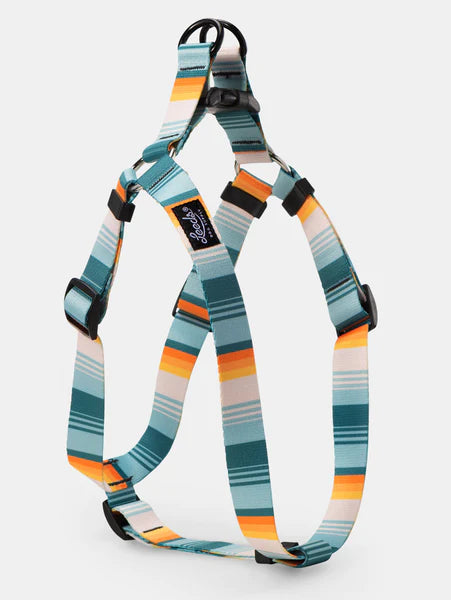 Leeds Doheny Harness