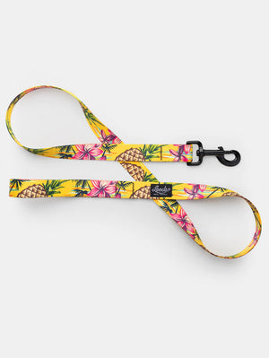 Leeds Luau Leash LG 6ft