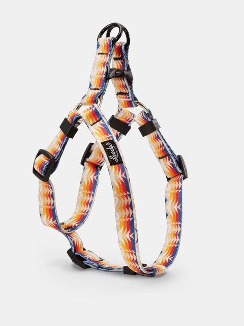 Leeds Shasta Harness