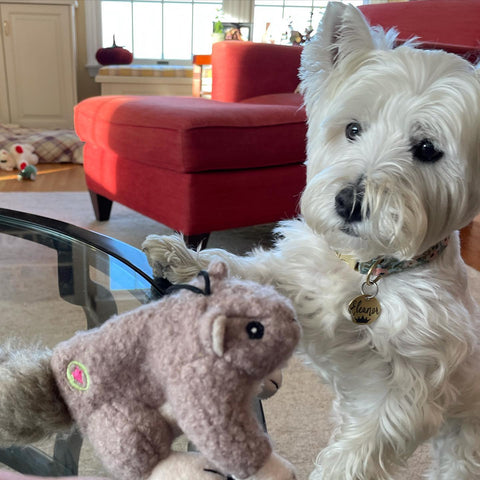 HUGGLE HOUNDS LIL FELLER SQUIRREL