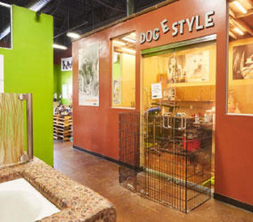 dog-e style grooming station at our Torrey Hills location